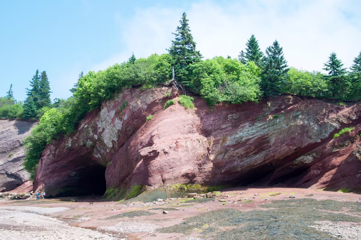 Top Things to do in Saint John, New Brunswick