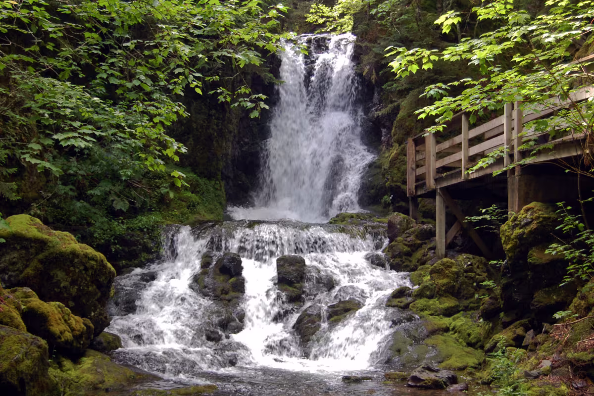 Dickinson Falls - Fundy National Park