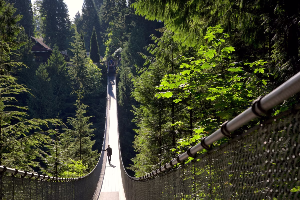 Capilano Suspension Bridge Vancouver Tour.jpg