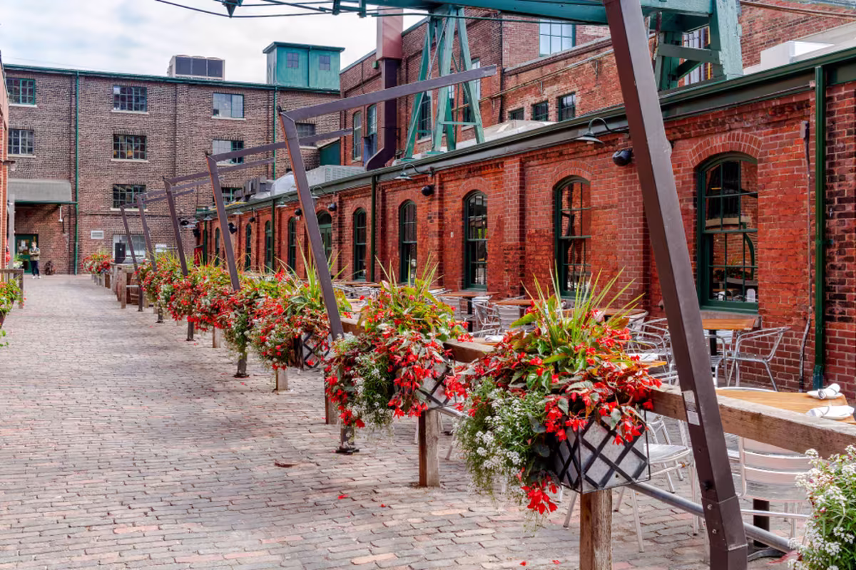 Distillery District in 2024