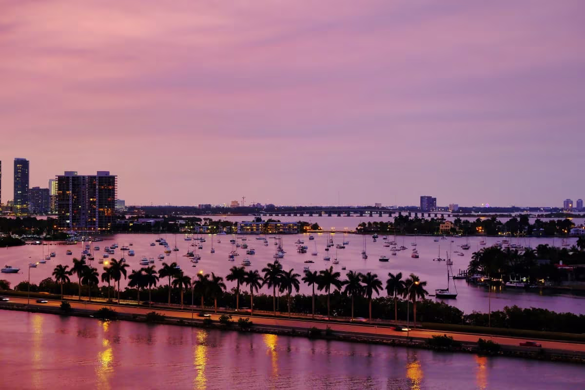 Miami-bay-night.jpg