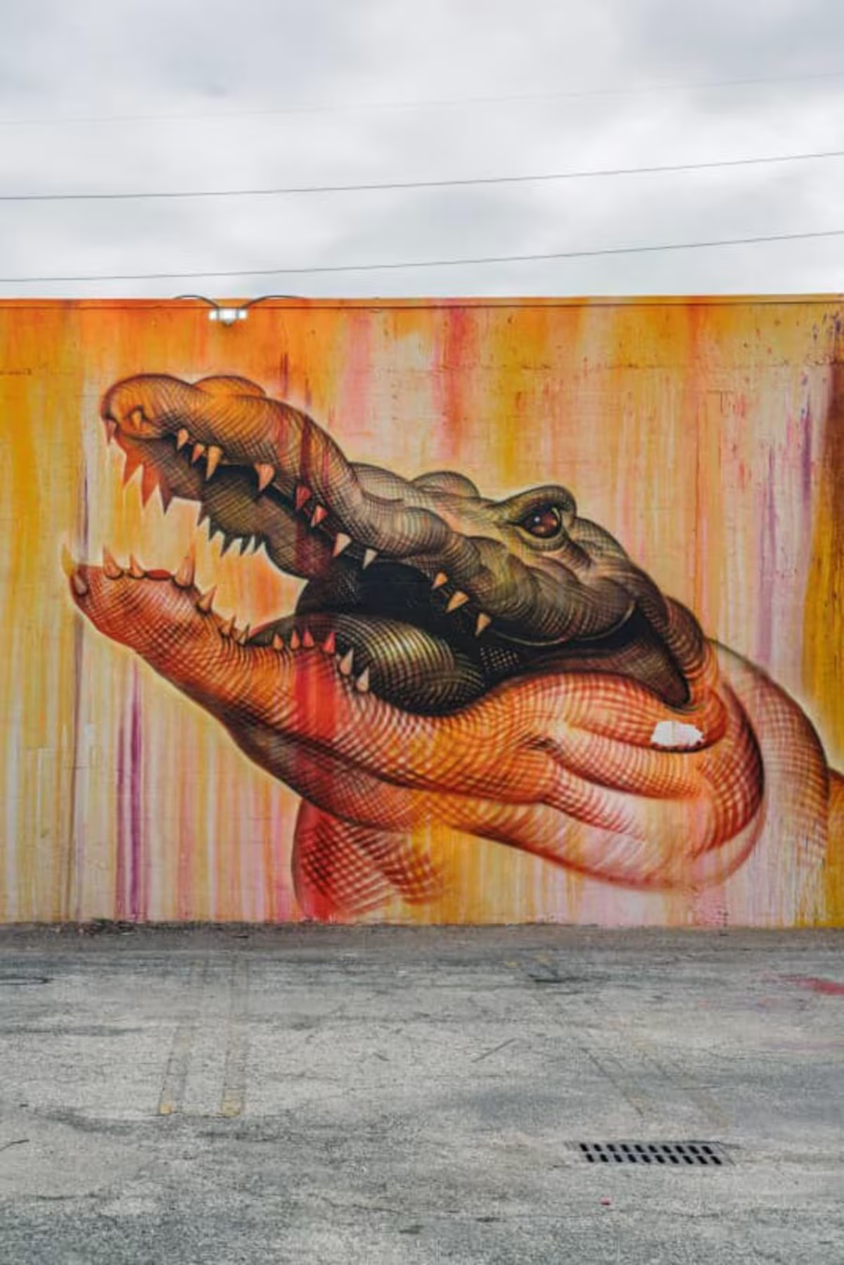Wynwood Walls in 2024