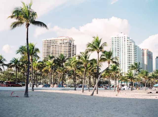 Top Tours in Miami, Florida - See Sight Tours