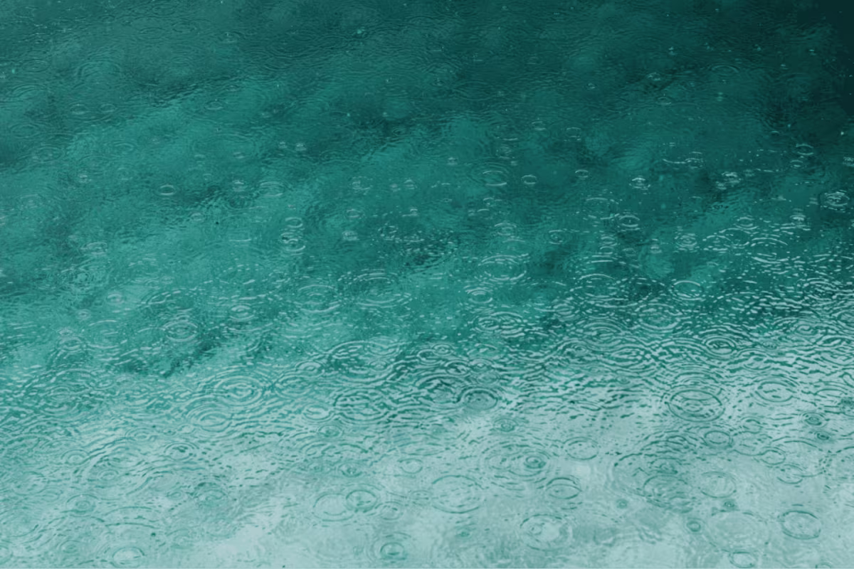 Qué Hacer en Miami Cuando Llueve