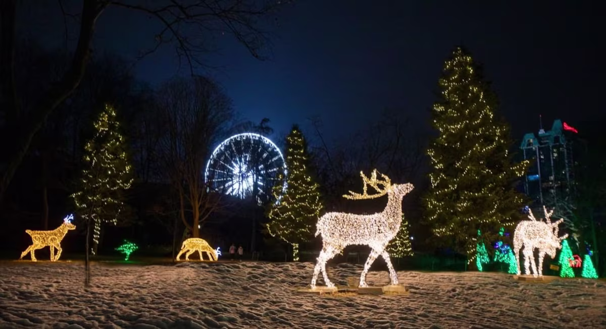 About the Festival of light