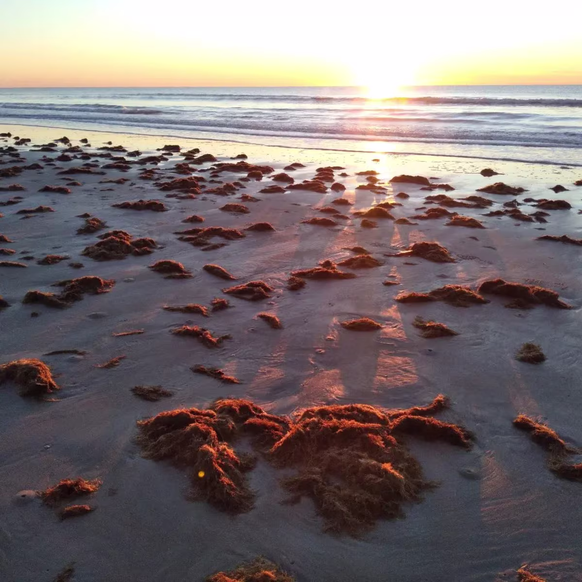 San Antonio Beaches