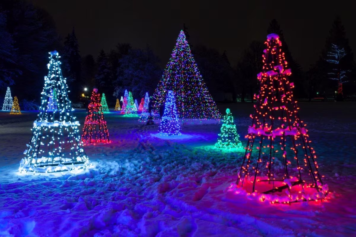 Festive Night on Niagara Holiday Lights Tour.jpg
