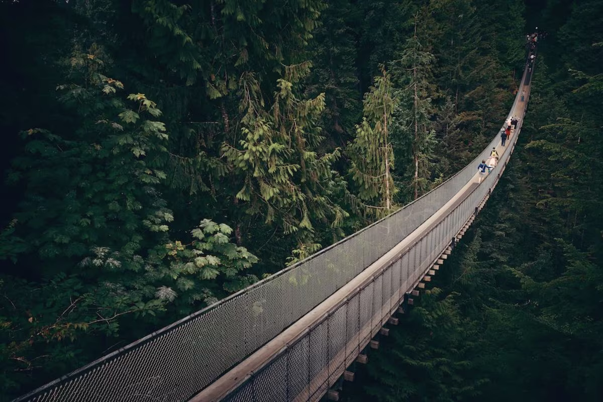 Scenic Vancouver Twilight Tour Capilano Dusk.jpg