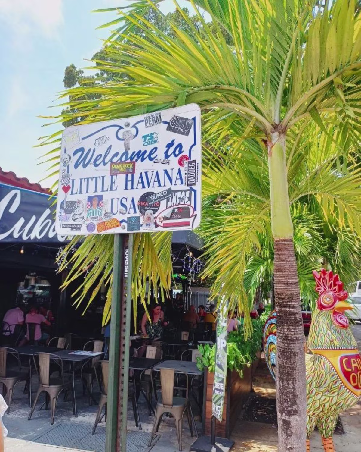 Things To Do In Little Havana