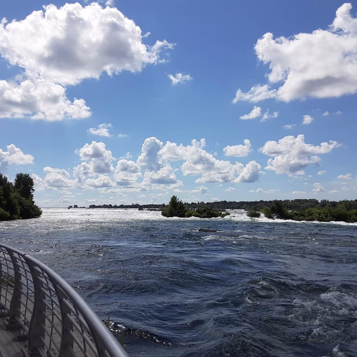 Goat Island