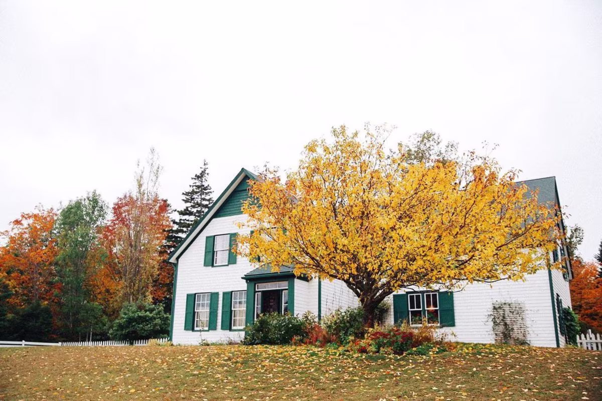 What are the best times of year to go on an Anne of Green Gables tour?