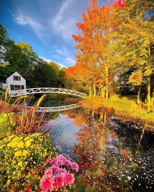 Visiting Bar Harbor, Maine in October: Fall Foliage and More - See Sight Tours