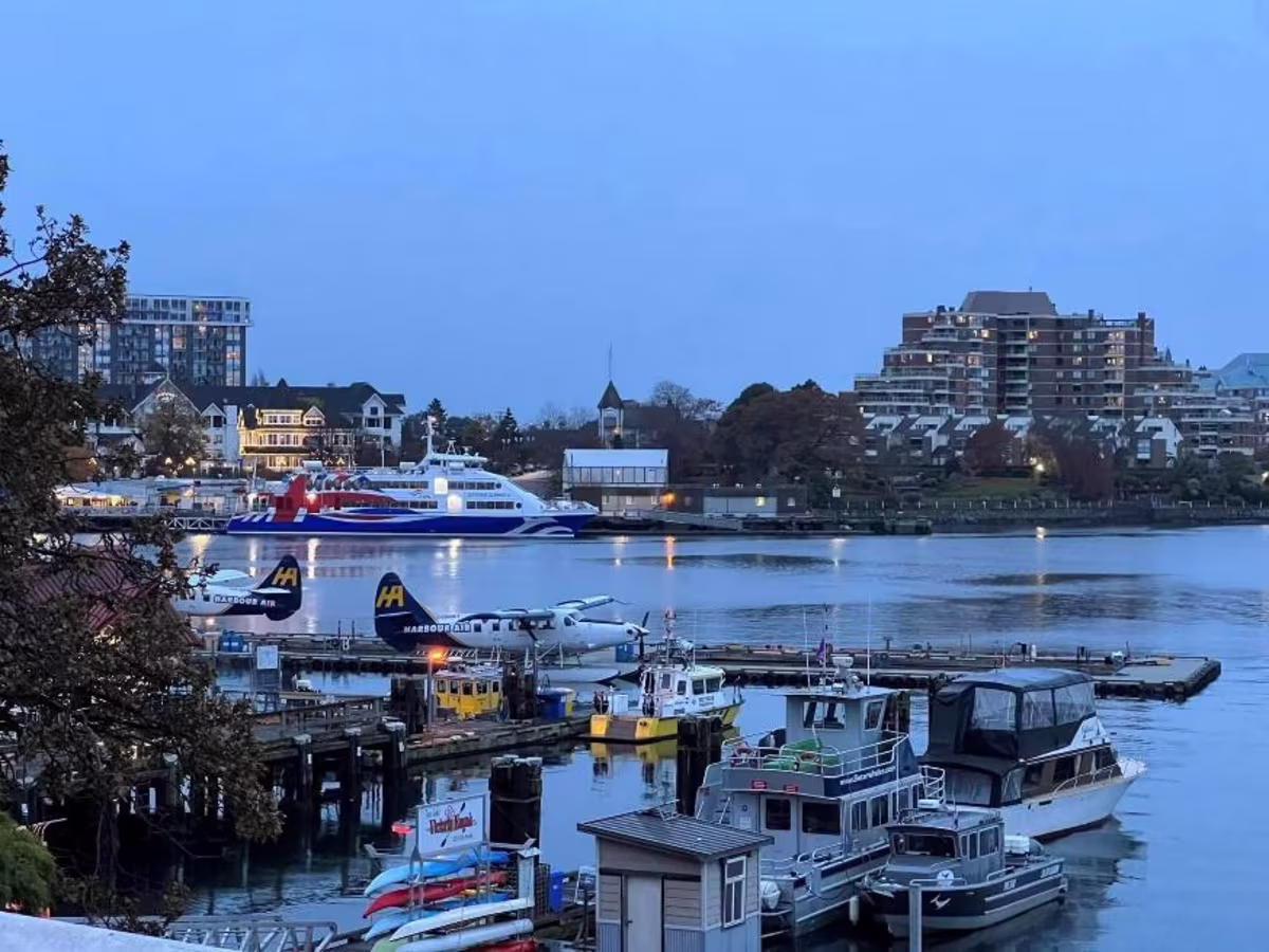 Victoria in November.jpg