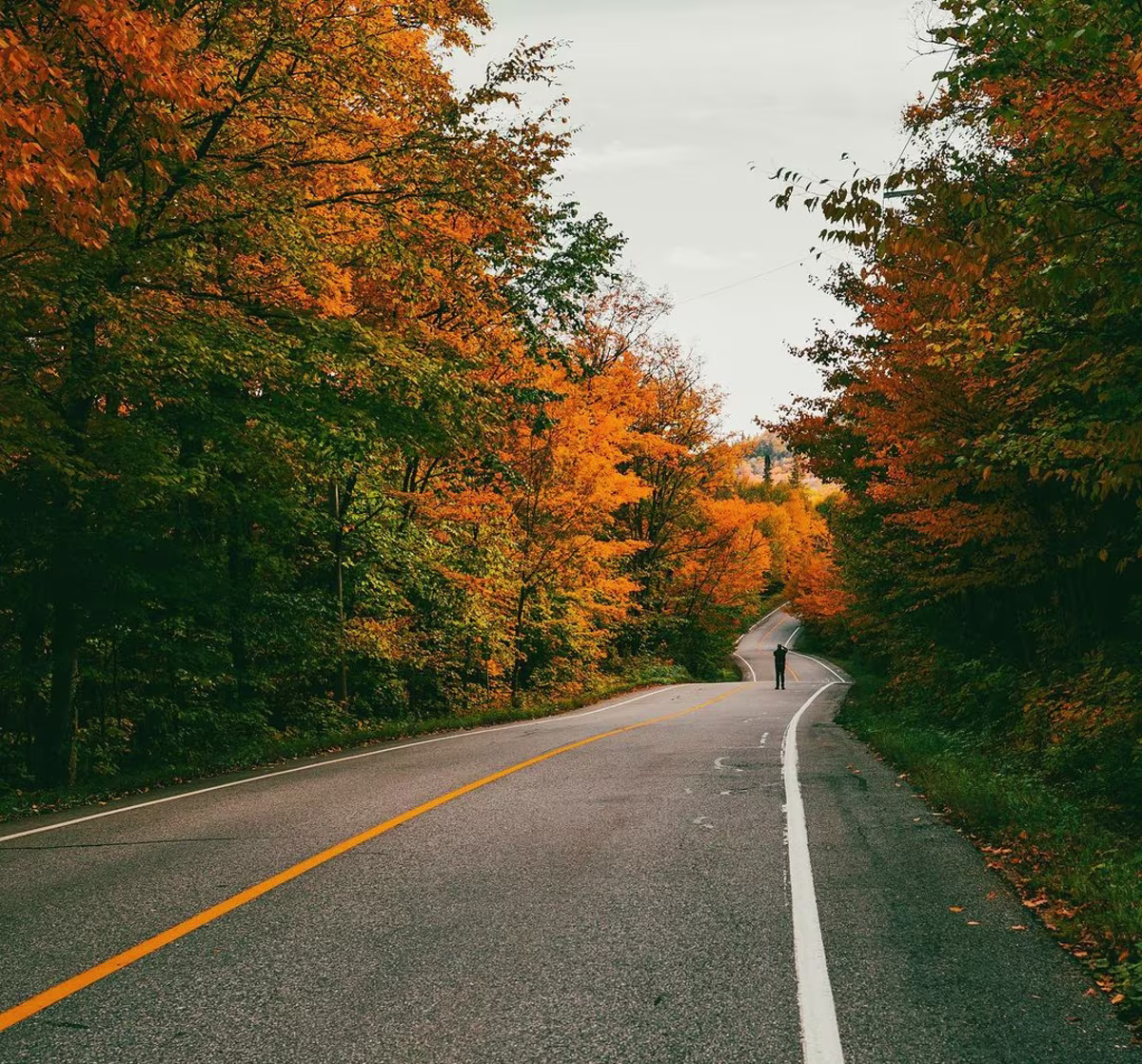 Visiting Ottawa in November: Embracing the Capital's Fall-Winter Transition