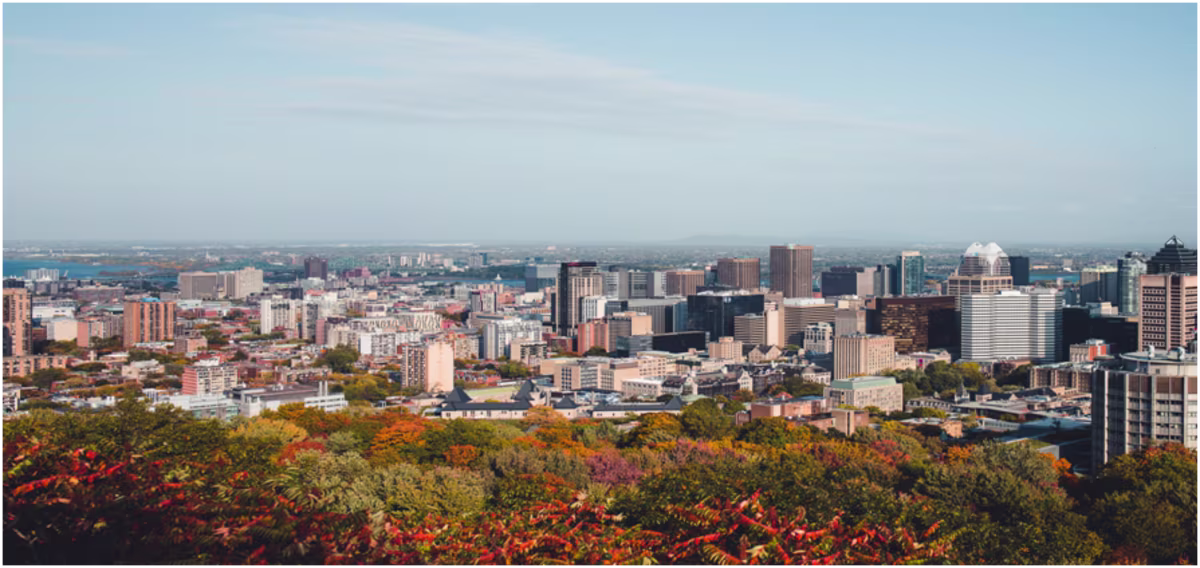 Montreal in November.jpg
