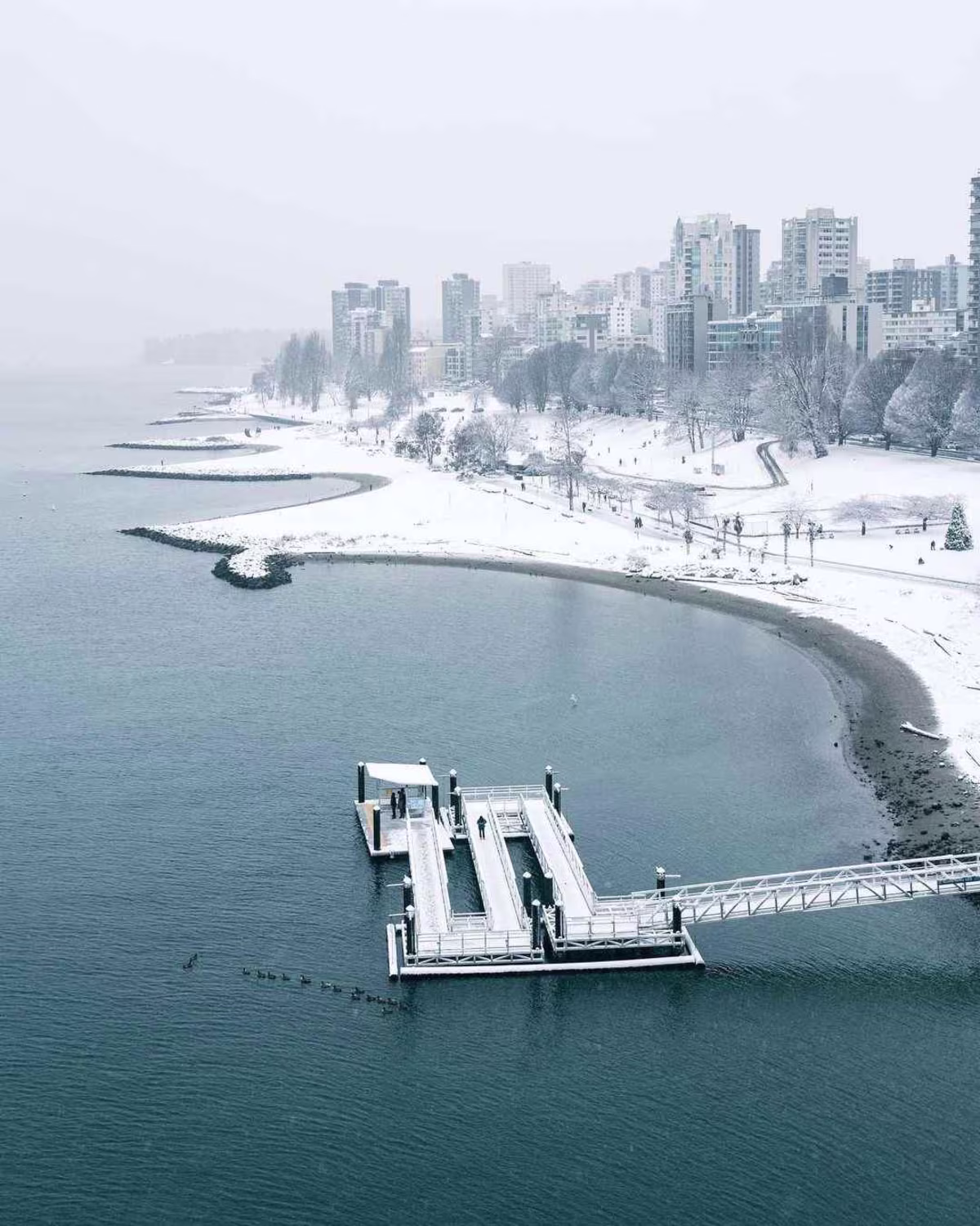 Embracing Winter Magic: Your Guide to Visiting Vancouver in December