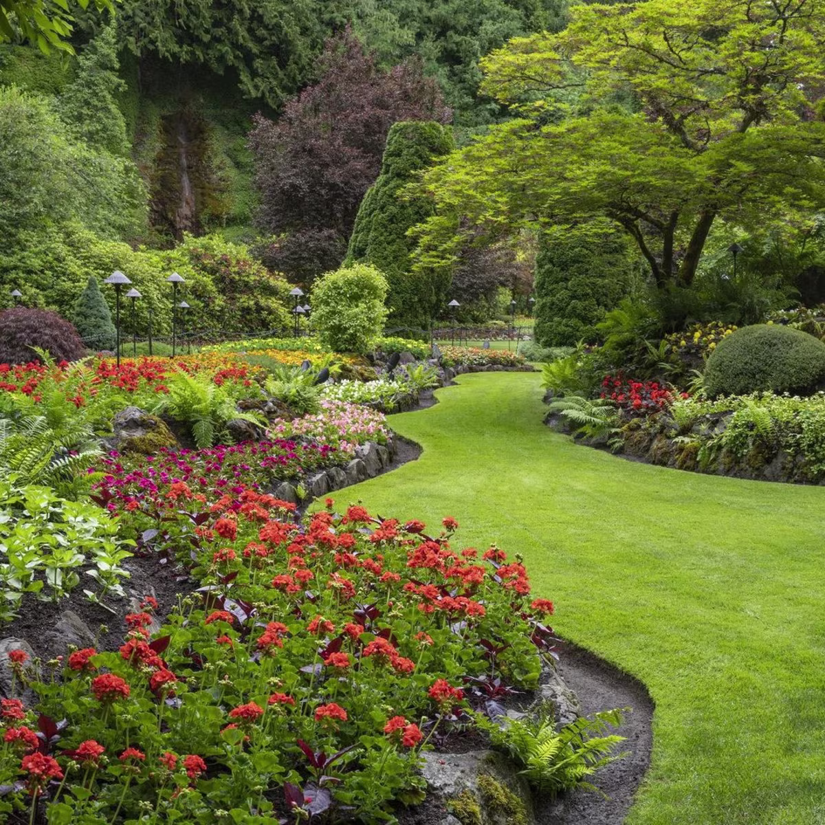 A Perfect Day Trip to Victoria, BC: Explore Vancouver Island's Gem