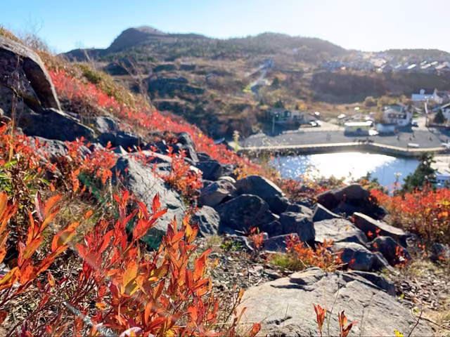 Hidden Gems in St. John's Newfoundland - See Sight Tours