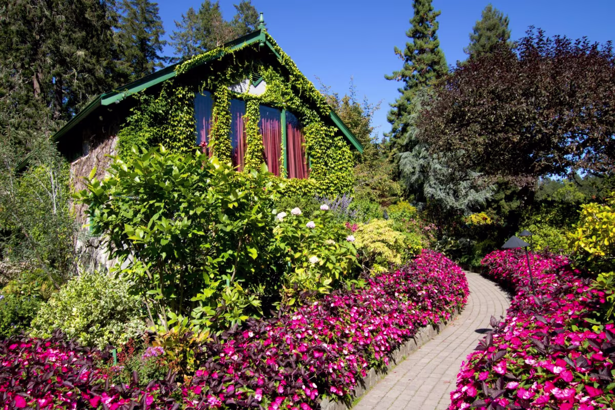 Visiting Victoria in March.jpg