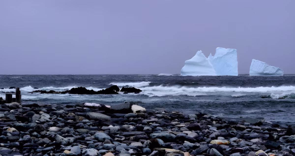 iceberg viewing in Newfoundland