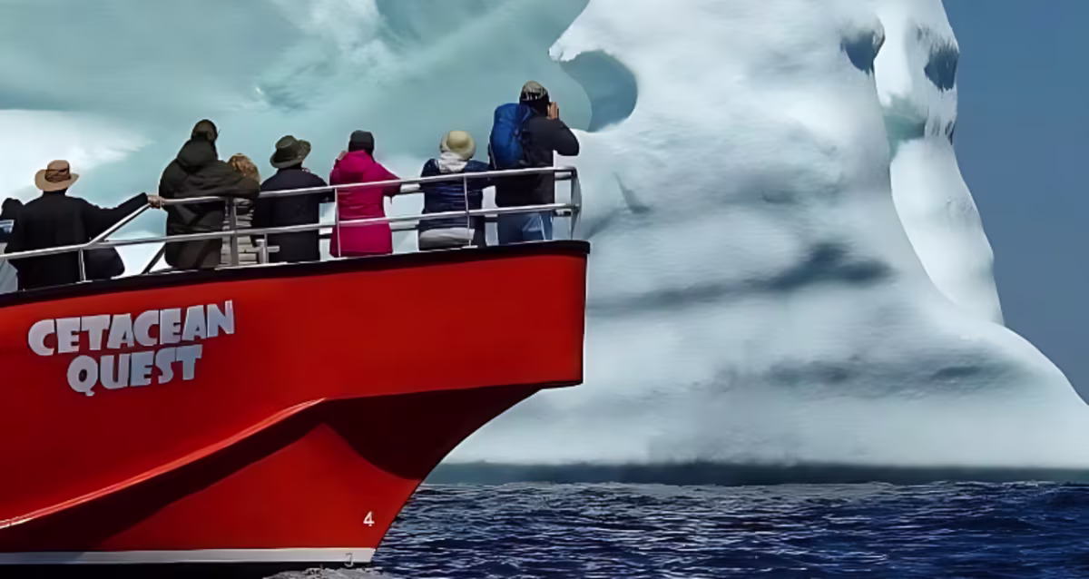 iceberg viewing in Newfoundland