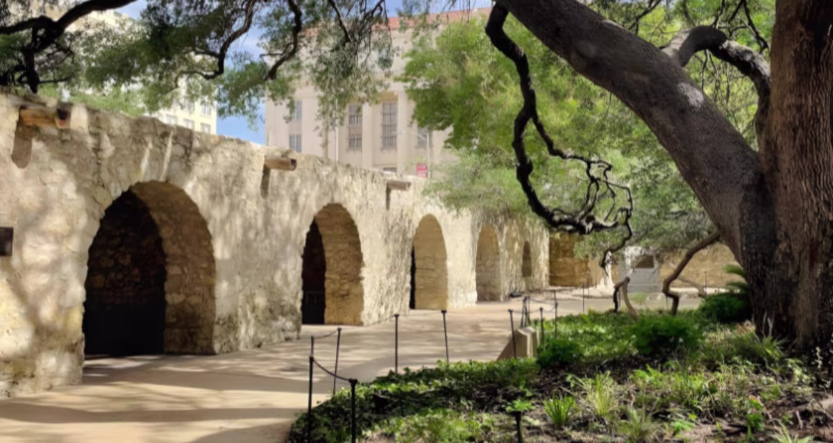 The Alamo