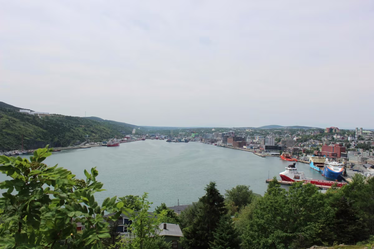 Non-Touristy Things To Do In St. John's, Newfoundland