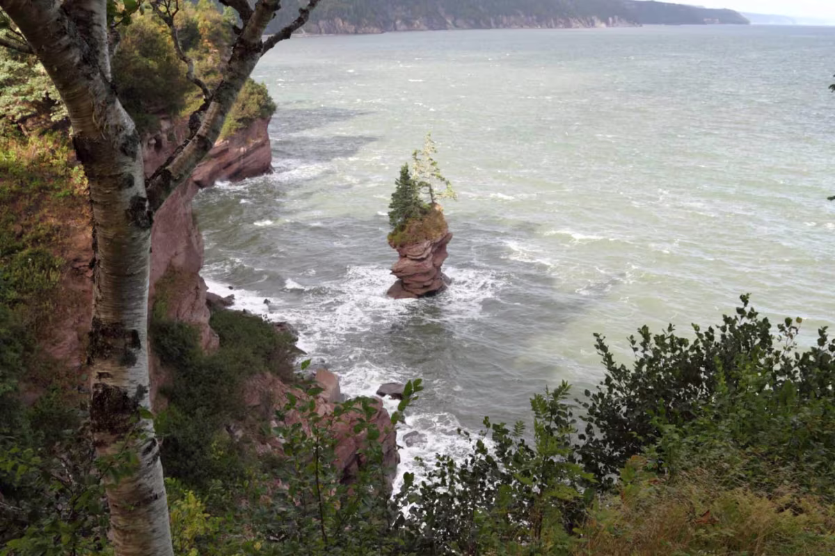Imagen 2 de Moncton to Hopewell Rocks Express Tour