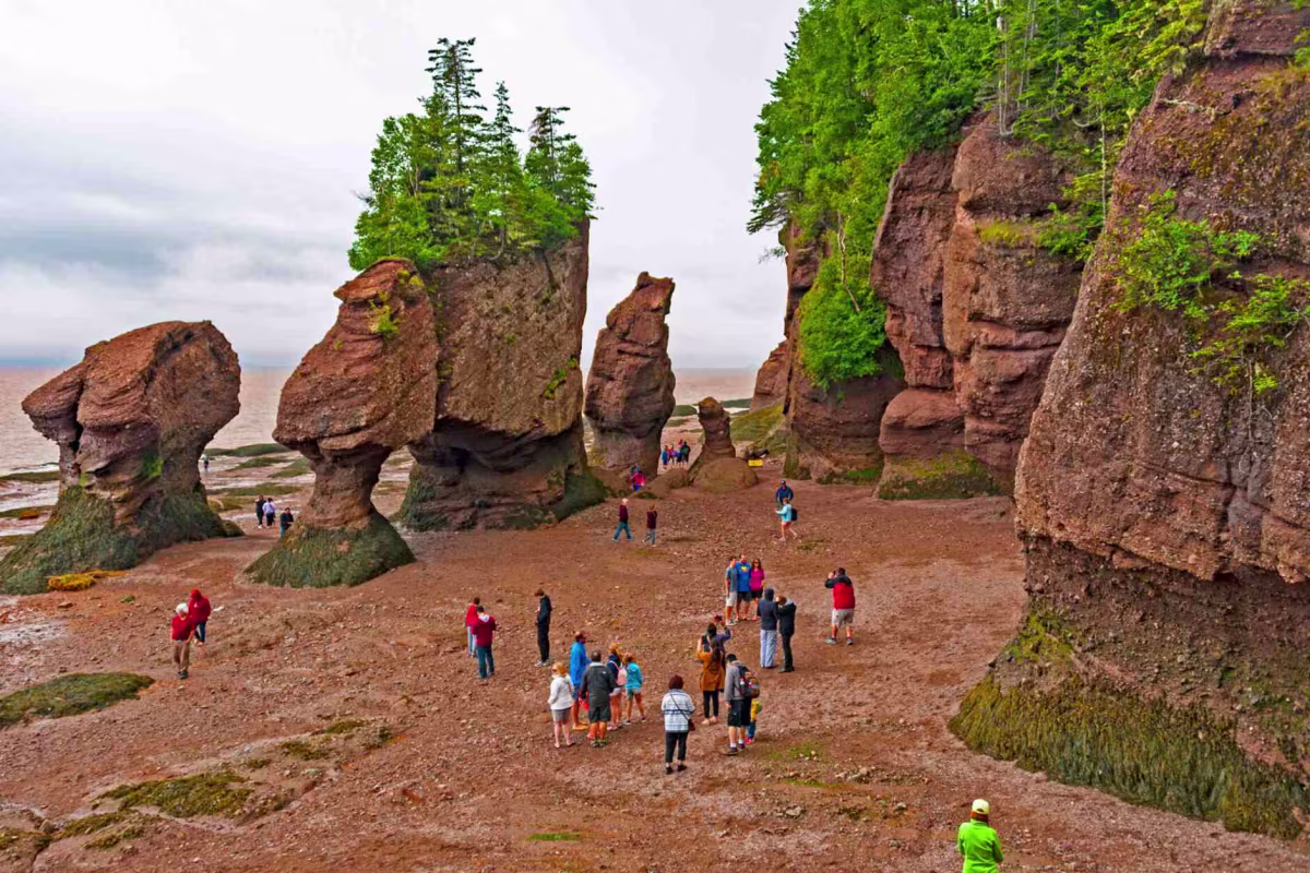 Imagen 1 de Moncton to Hopewell Rocks Express Tour