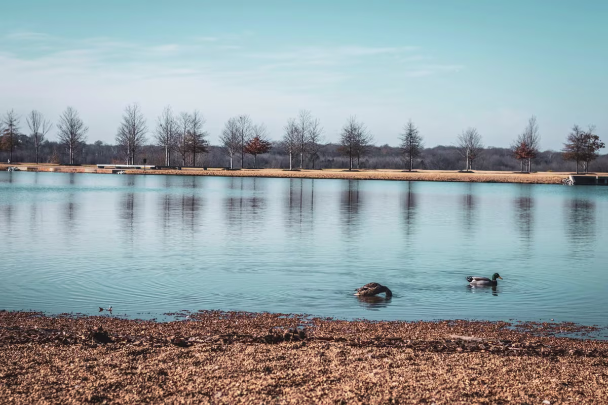 Hidden Gems in Memphis: An Off-the-Beaten-Path Guide