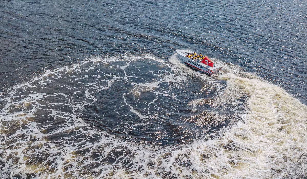 See Sight Tours Jetboat Tour - Reversing Falls Rapids in 2024