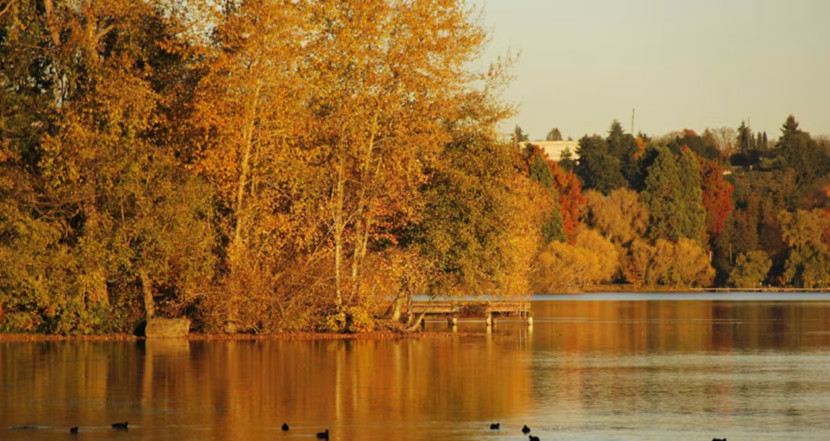 feature product image