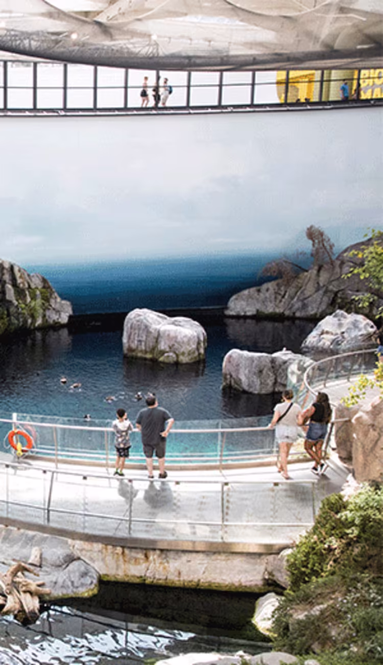 Best of Montreal Tour + The Biodome Wonder.jpg image 1