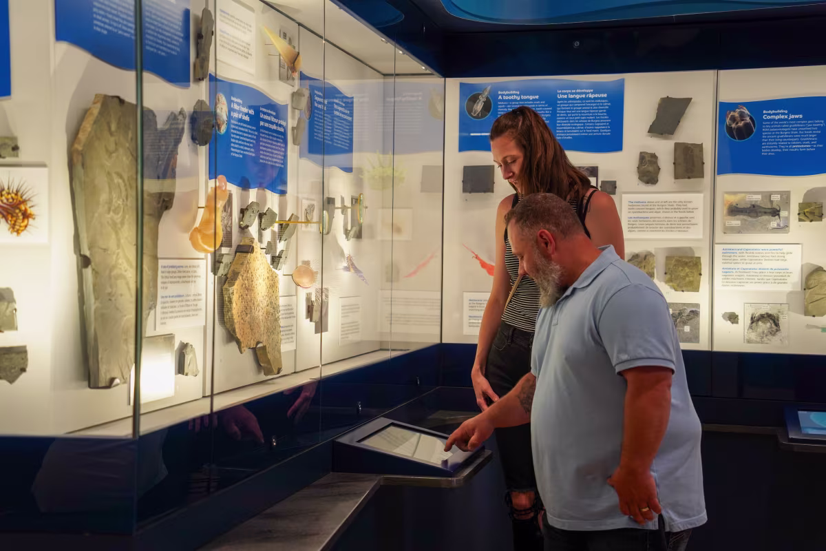 History Royal Ontario Museum Tour.jpg