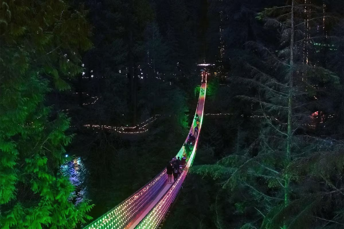 Capilano Suspension Bridge with Canyon Lights Tour image 2