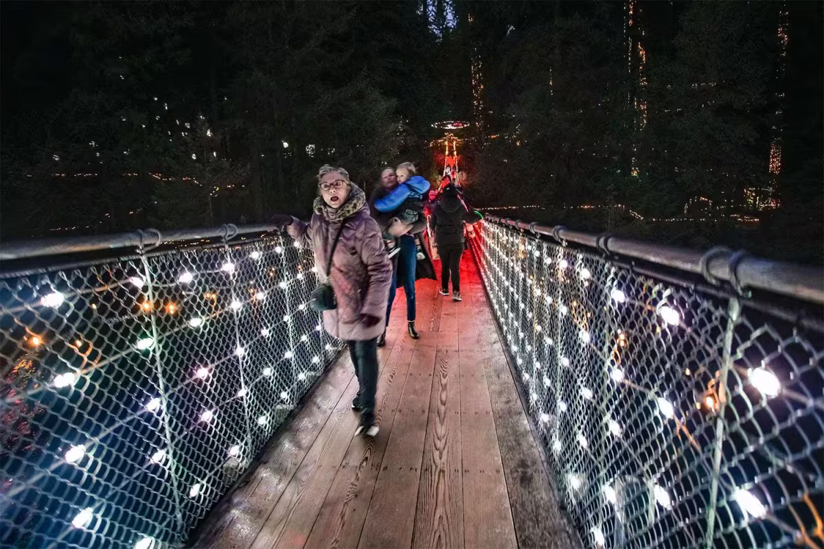 Capilano Suspension Bridge with Canyon Lights Tour image 2