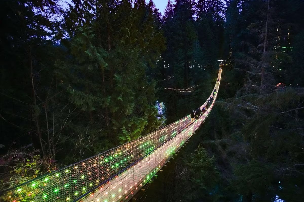 Capilano Suspension Bridge with Canyon Lights Tour image 4