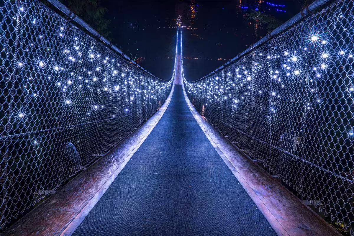 Capilano Suspension Bridge with Canyon Lights Tour image 5