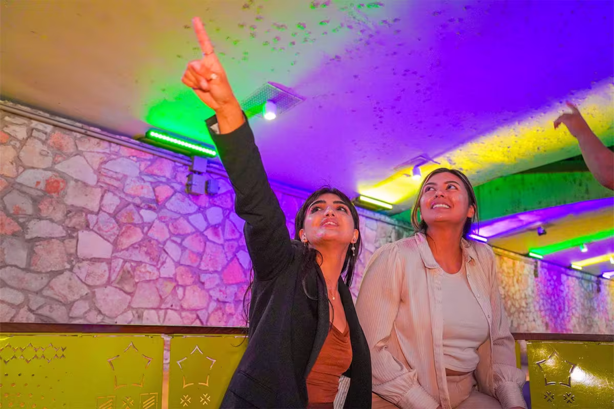 Scenic San Antonio Night Tour with Dinner and Tower of Americas image 4