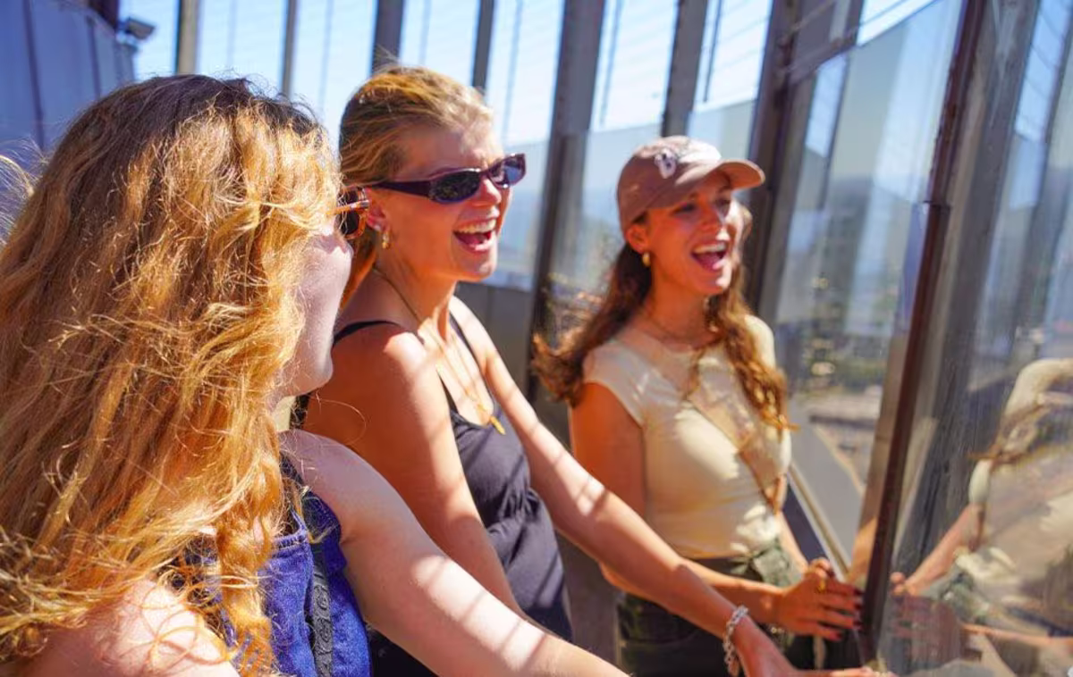 Scenic San Antonio Night Tour with Dinner and Tower of Americas image 2