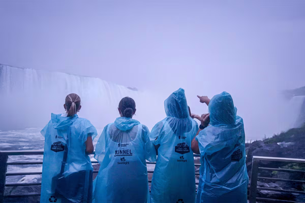 From USA - Night on Niagara Canada with Power Station & Dinner image 4