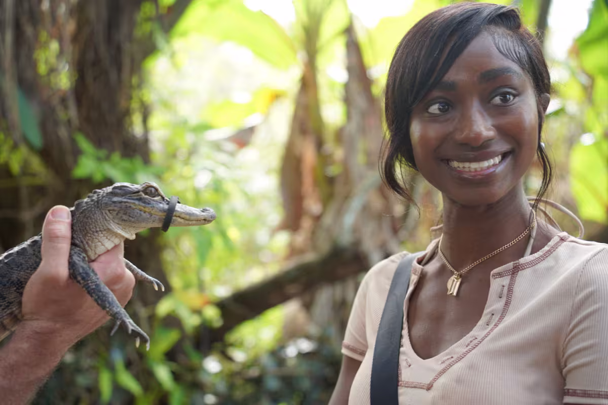 Everglades Express Small Group Tour from Miami with Airboat Ride image 5