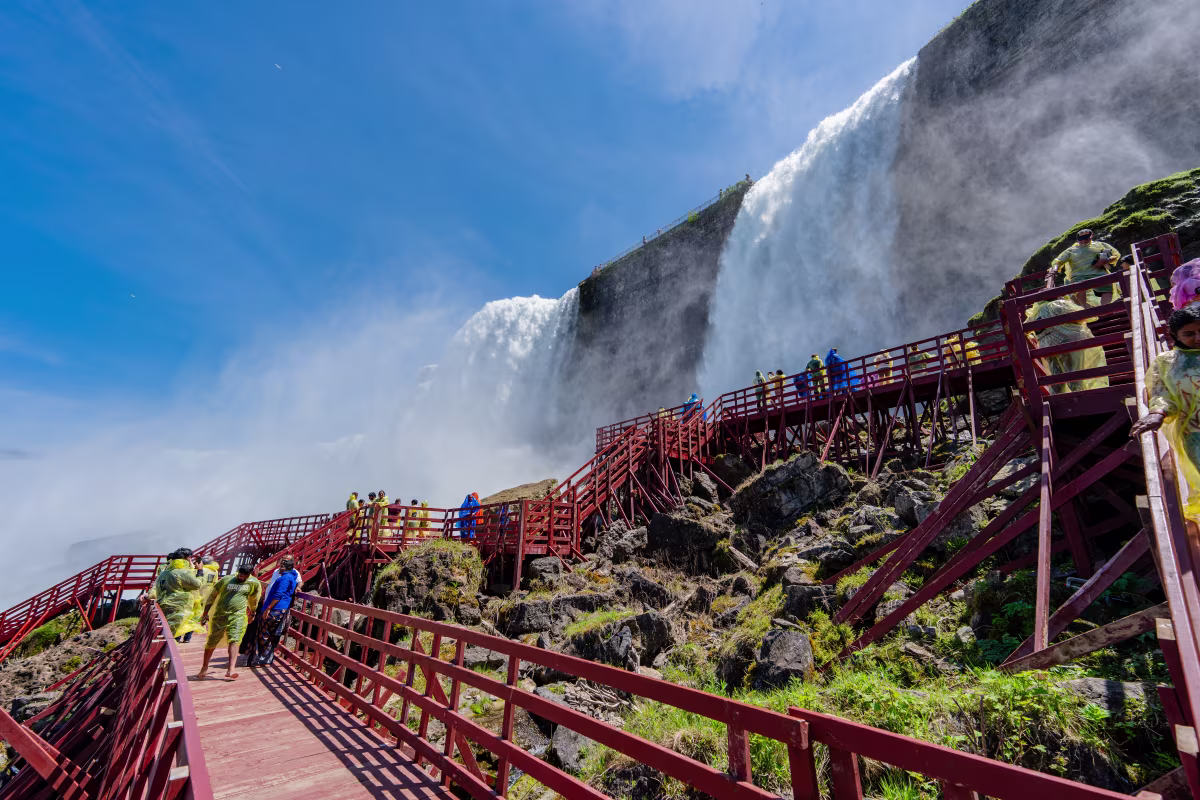 https://res.cloudinary.com/see-sight-tours/image/upload/v1787078087/strapi/NF_USA_0055_f23aaf10f1.jpg