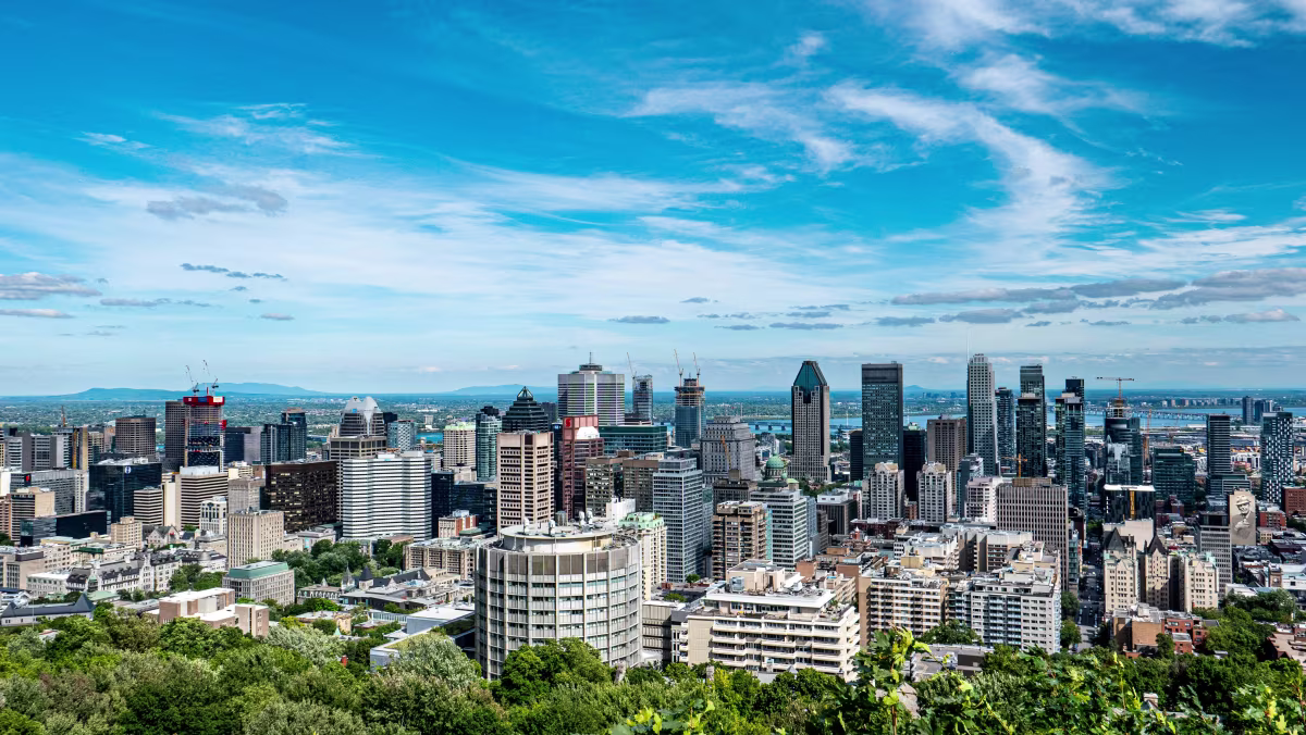 Mount Royal photo 6
