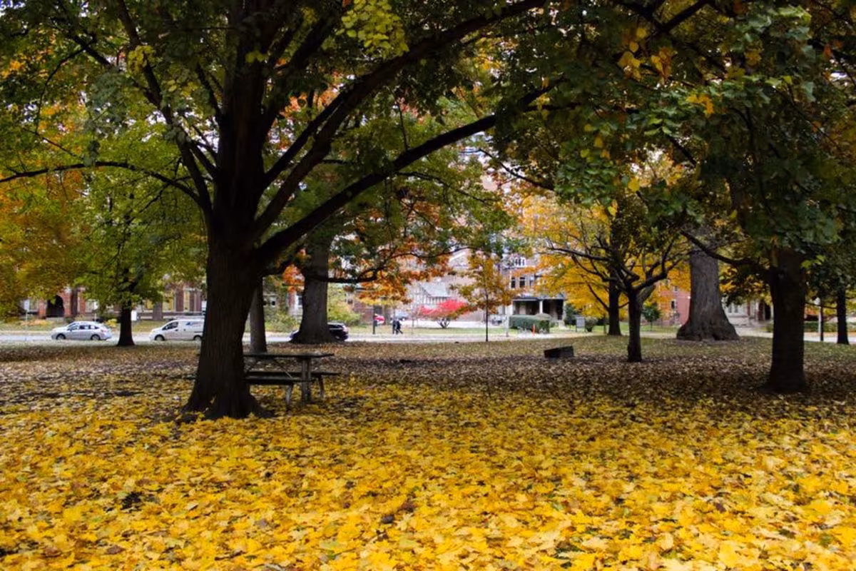 Queen's Park photo 2