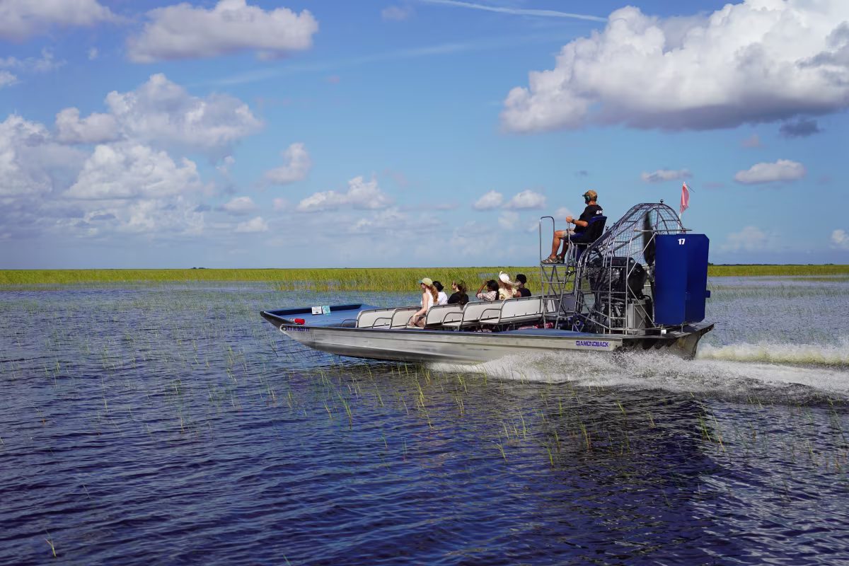Sawgrass Recreation Park photo 6