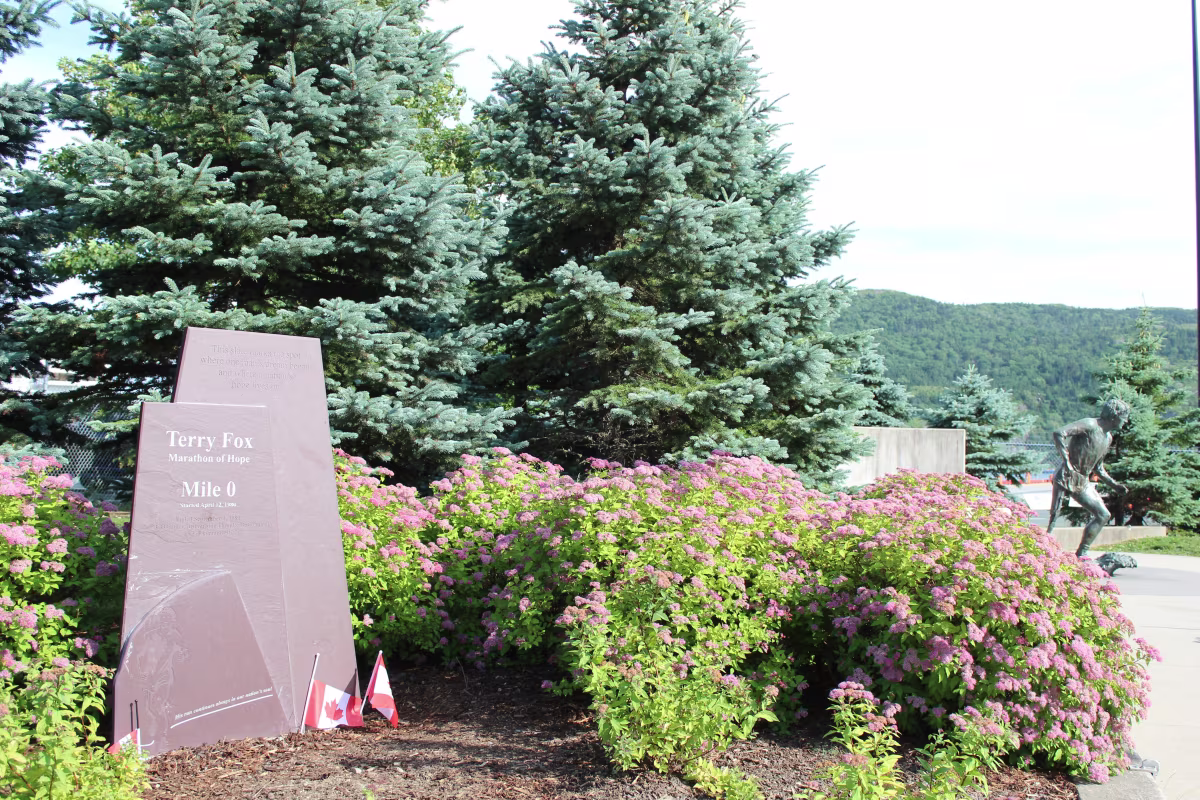 Terry Fox Memorial and Lookout photo 3