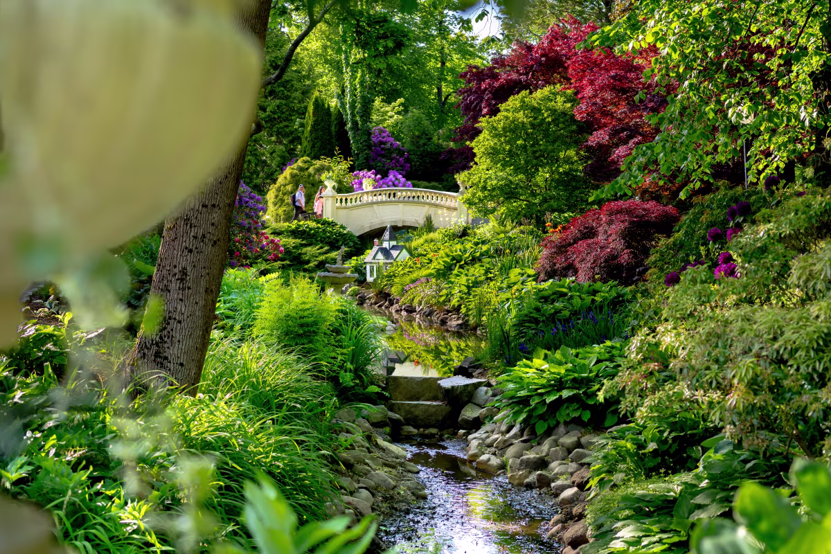 Halifax Public Gardens in 2024