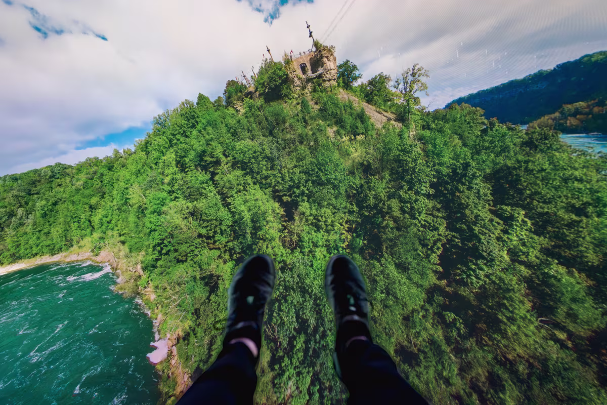 Niagara Takes Flight photo 4