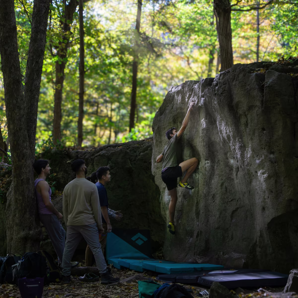 Niagara Glen photo 3